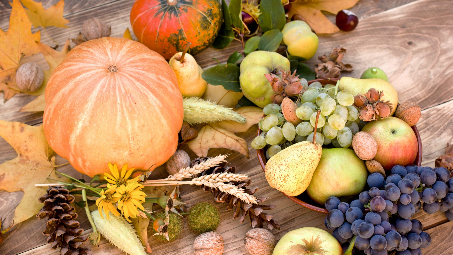 Seasonal & Festival Products
